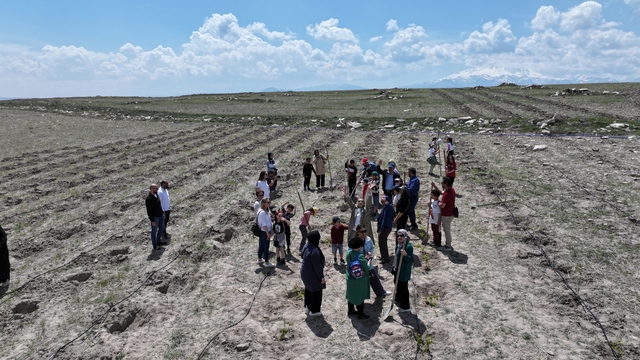 Kayseri'de ilkokul öğrencileri gilaburu bitkisinin dikimine katıldı