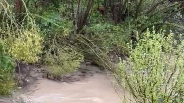 Gümüşhane'de hafif ticari araç dereye devrildi: 1 ölü, 4 yaralı