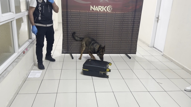 Otobüste valizine gizlediği uyuşturucuyu 'Mailo' buldu; tutuklandı