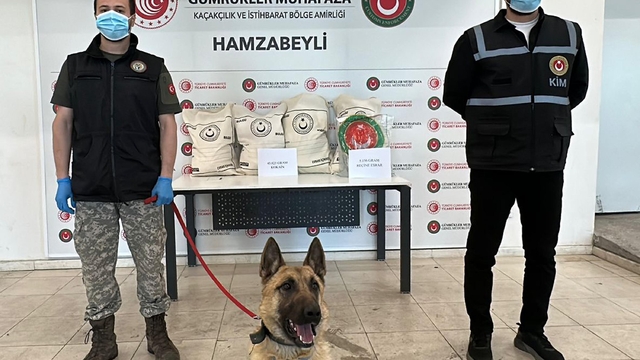 Hamzabeyli'de 50 kilo uyuşturucuyu 'Bodri' buldu