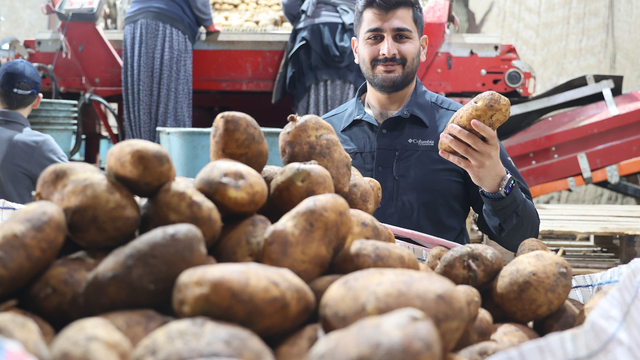 YENİ NESİL ÇİFTÇİLER - Patates üreticisi genç çiftçi ekonomiye tohumla katkı sağlamak istiyor