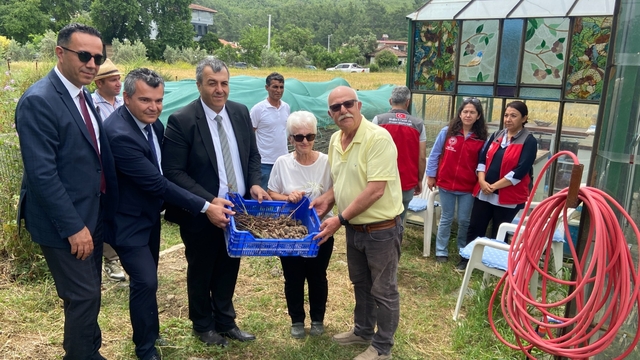Dalaman'da birinci sınıf öğrencileri çilek ve salep hasadı yaptı
