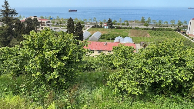 Giresun Üniversitesinden FAE'nin projelerine istatistik bilimi ve yapay zeka desteği sağlanacak
