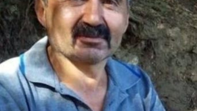 Üzerine ağaç devrilen kesim işçisi öldü