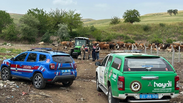 Diyarbakır'da jandarmadan besicilere dolandırıcılık ve hırsızlığa karşı uyarı