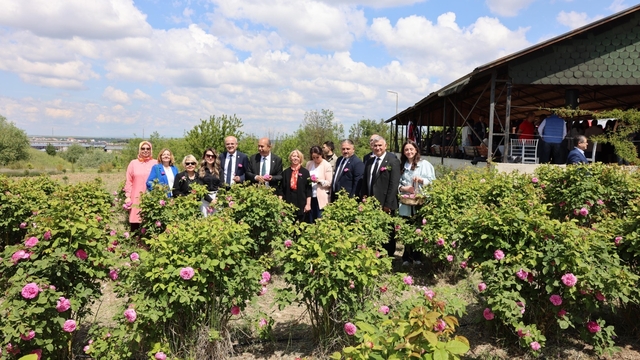 Edirne gülleri Trakya Üniversitesinde şenlikle hasat edildi
