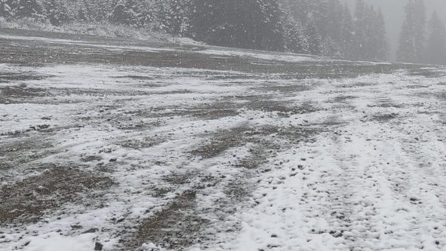 Ilgaz Dağı eteklerine kar yağdı