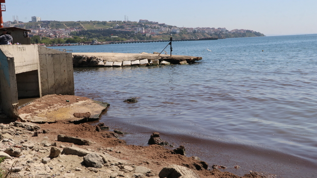 Tekirdağ'da kuvvetli rüzgar nedeniyle sahilin bir kısmına kırmızı yosun birikti