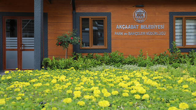 Akçaabat Belediyesi seralarında yaklaşık 100 bin mevsimlik çiçek üretildi