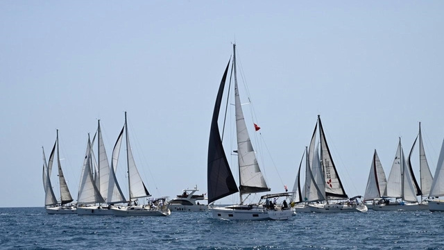 Galeri