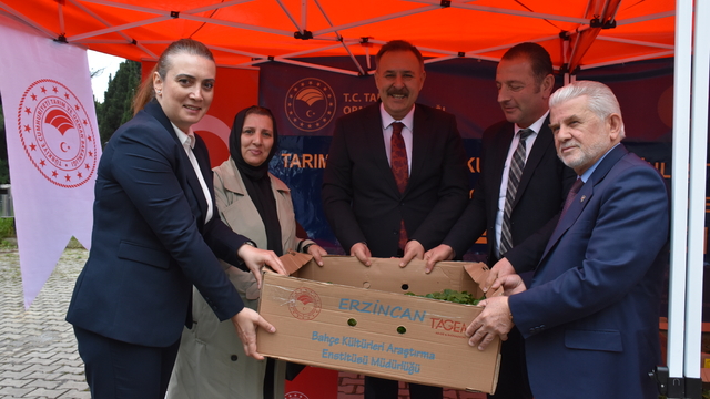 Trabzon'da üreticilere 260 bin sebze fidesi dağıtıldı
