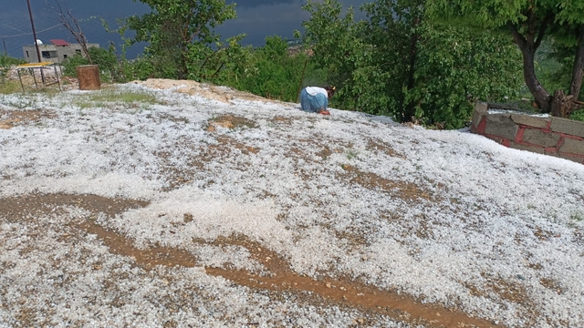 Diyarbakır'da dolu etkili oldu, bağ ve bahçeler zarar gördü