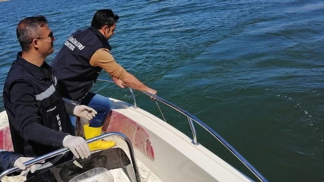 Göl ve sulak alanlarda sazangiller av yasağı başladı