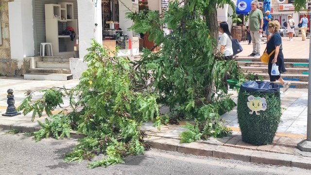 Bodrum'da kuvvetli fırtına nedeniyle feribot seferleri iptal edildi