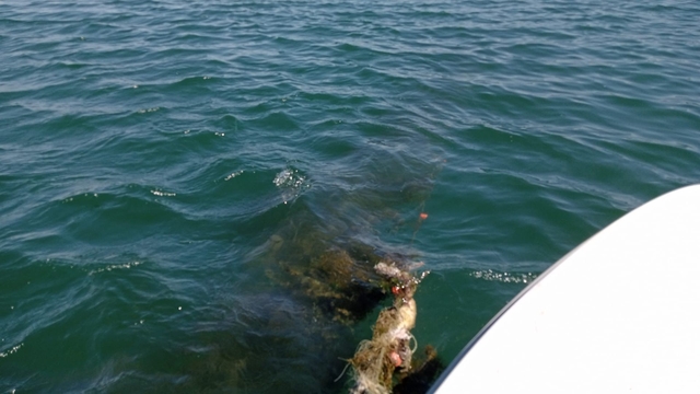 Sakarya'dan kısa kısa