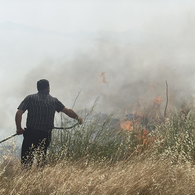 Bodrum'da 3 saatte 3 yangın