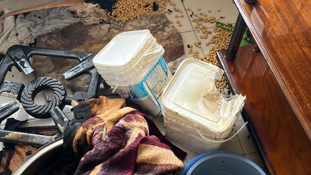 Bolu'da balkonda yakılan piknik tüpü yangına neden oldu