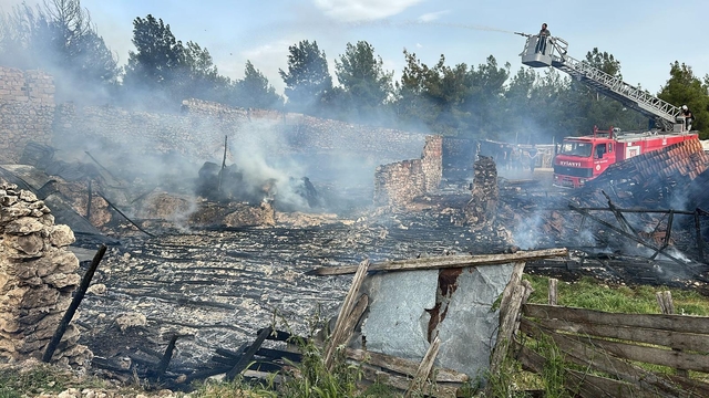 Uşak'ta ahırda çıkan yangında 54 kuzu telef oldu