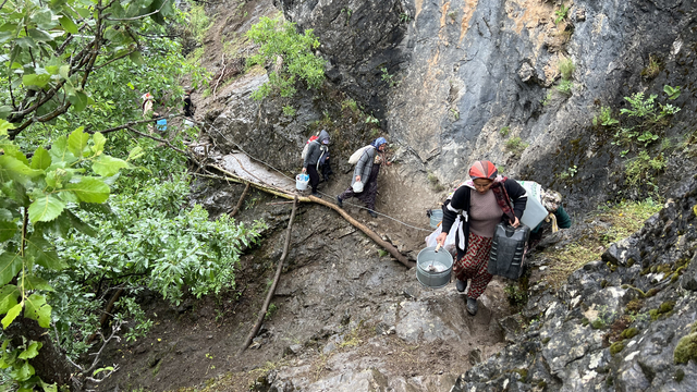 Yüksekova'da berivanların zorlu yayla yolculuğu başladı
