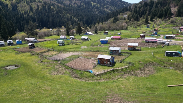 Galeri