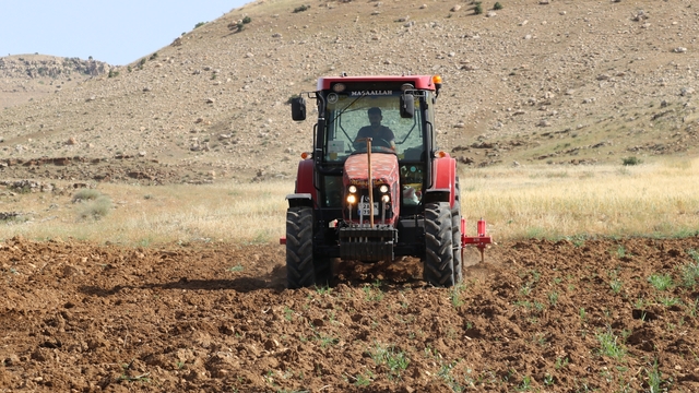 Batman'da kavun ve karpuz tohumları toprakla buluşturuluyor