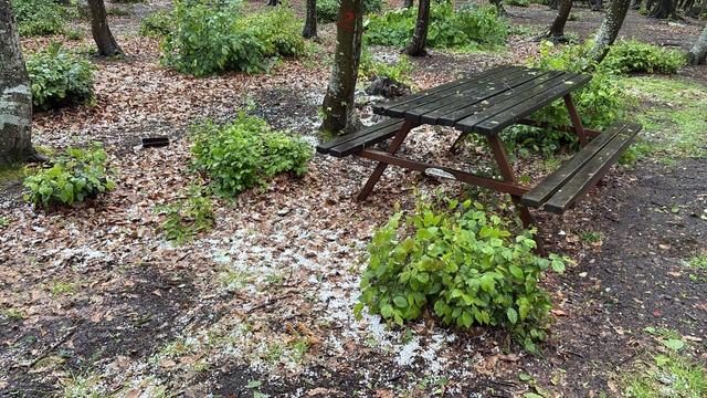 Sakarya'da dolu ve sağanak etkili oldu