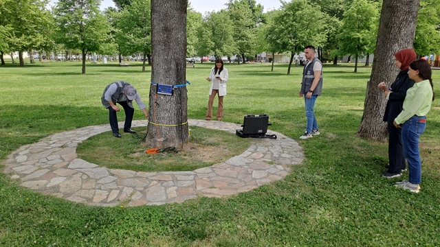 Sakarya'da ağaçların sağlığı akustik tomografiyle takip ediliyor