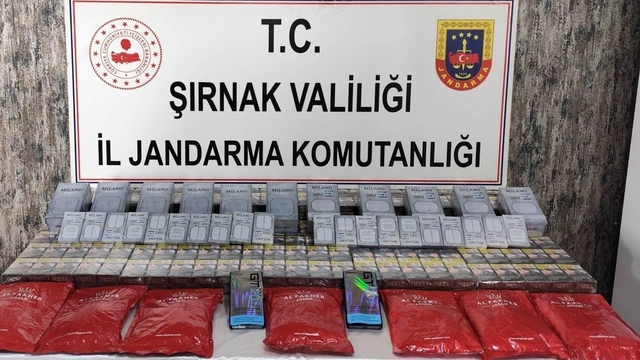 Şırnak'ta uyuşturucu, kaçakçılık ve asayiş operasyonlarında 22 kişi hakkında işlem yapıldı