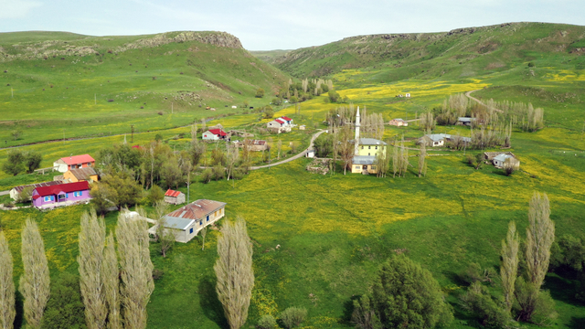 Galeri