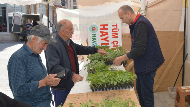 Havza Ziraat Odasında sebze fidesi satışları başladı