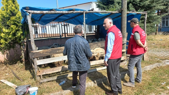 Salıpazarı'nda kurban satış yerinde denetim yapıldı