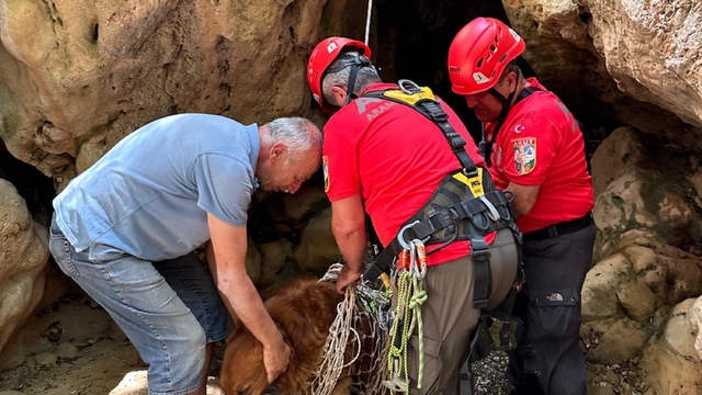 Dere yatağında mahsur kalan köpeği, AKUT ekibi kurtardı