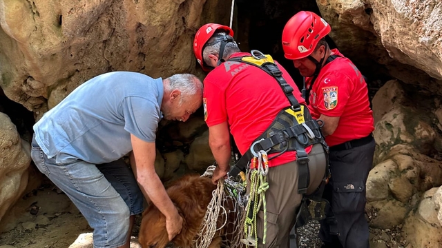 Fethiye'de dere yatağındaki sarp arazide mahsur kalan köpek ekiplerce kurtarıldı