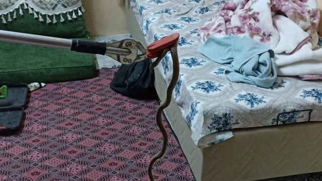 Eve giren yılan, itfaiye görevlilerince yakalandı
