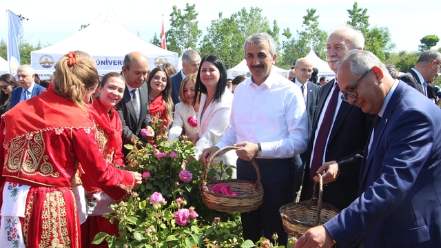 Edirne gülü, törenle hasat edildi