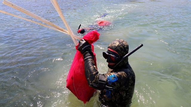 Bodrum'da dalgıçlar deniz dibi temizliği yaptı