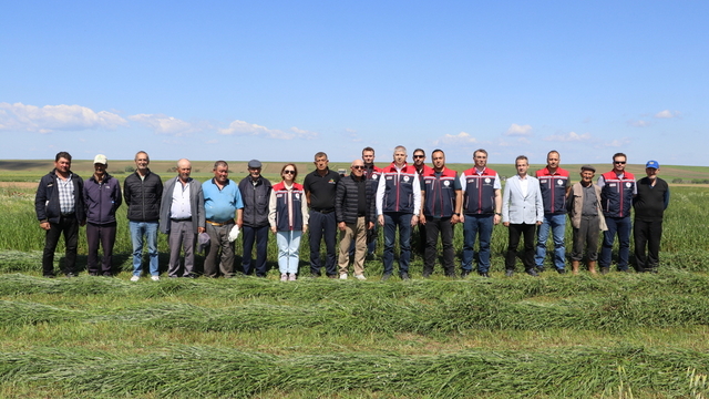 Edirne'den kısa kısa