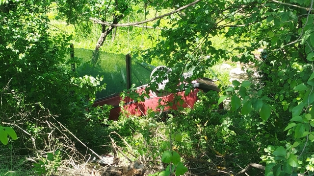 Sakarya'da şarampole devrilen otomobildeki 2 kişi yaralandı