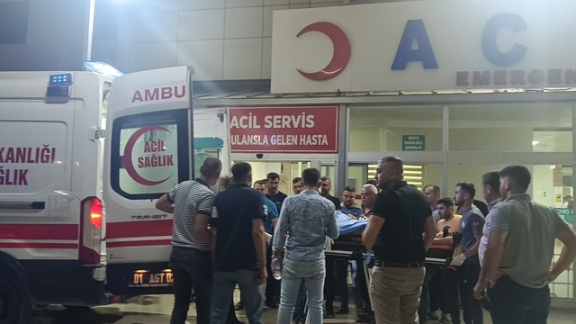 Adana'da otomobilin elektrik direğine çarpması sonucu 1 kişi yaralandı