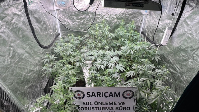 Adana'da evde iklimlendirme sistemiyle kenevir yetiştiren 3 zanlıdan 1'i tutuklandı