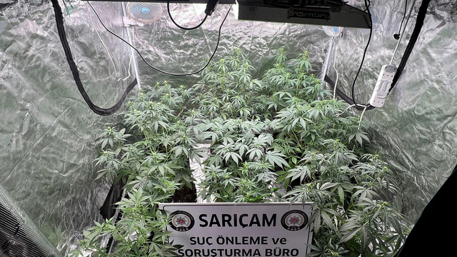 'Kasten yaralama'dan cezaevine girdi, evine 'kenevir' serası kurduğu ortaya çıktı