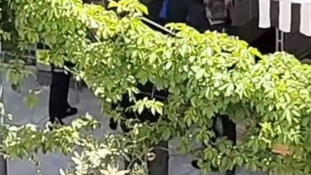 Engelli esnaf ile zabıta arasında arbede