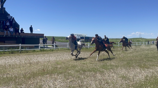Malazgirt'te at yarışı yapıldı