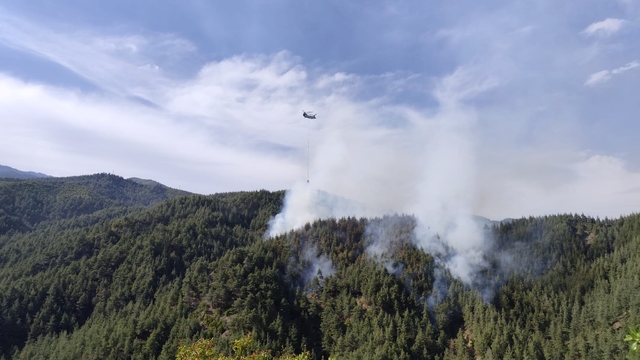 Kahramanmaraş'ta orman yangını