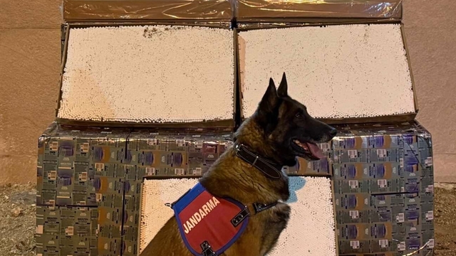 Niğde'de 175 bin dolu makaron ele geçirildi