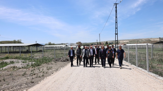 Çorum'da sokak hayvanları için doğal yaşam alanı oluşturuldu