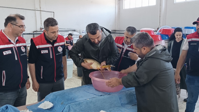 Edirne'deki üretim tesisinde 10 milyon 500 bin balık yavrusu yetiştirilmesi hedefleniyor