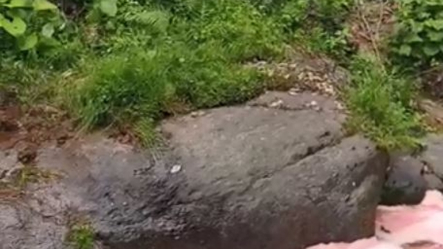 Rize'de rengi kırmızıya dönen derede inceleme