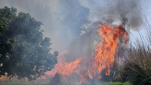 Çalılıkta çıkan yangına 1,5 saatlik müdahale