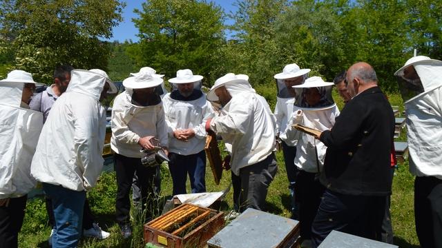 Ordu'da yükümlülere arıcılık kursu verildi